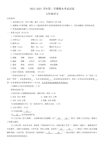 河南省濮阳市2022-2023学年七年级下学期7月期末语文试题