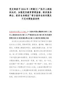 党支部班子2024年（两篇文）“执行上级组织决定、加强党员教育管理监督、联系服务群众、抓好自身建