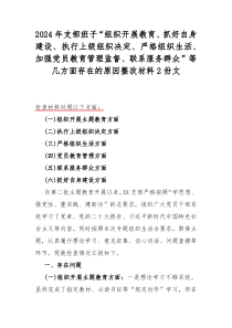 2024年支部班子“组织开展教育、抓好自身建设、执行上级组织决定、严格组织生活、加强党员教育管理