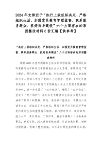 2024年支部班子“执行上级组织决定、严格组织生活、加强党员教育管理监督、联系服务群众、抓好自身