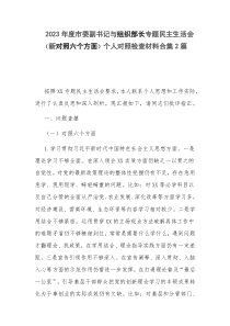 2023年度市委副书记与组织部长专题民主生活会（新对照六个方面）个人对照检查材料合集2篇