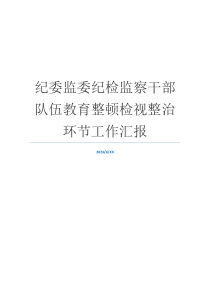 纪委监委纪检监察干部队伍教育整顿检视整治环节工作汇报