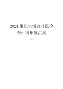 2024组织生活会对照检查材料年度汇集