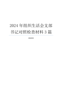 2024年组织生活会支部书记对照检查材料3篇