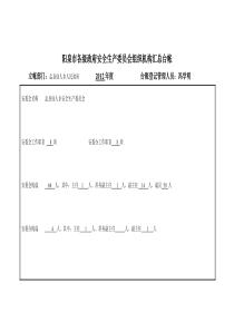 仙人乡各级政府安全生产委员会组织机构汇总台账