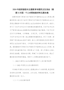 2024年度某副县长主题教育专题民主生活会（最新6方面）个人对照检查材料五篇合集