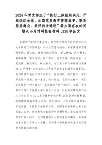 2024年党支部班子“执行上级组织决定、严格组织生活、加强党员教育管理监督、联系服务群众、抓好自