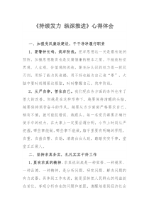 《持续发力 纵深推进》心得体会