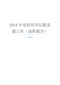 2024年党组织书记抓党建工作（述职报告）