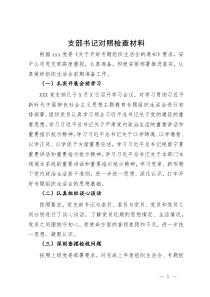 国企党支部班子主题教育专题组织生活会对照检查材料