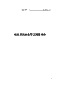 信息系统安全等级保护测评报告