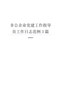 非公企业党建工作指导员工作日志范例3篇