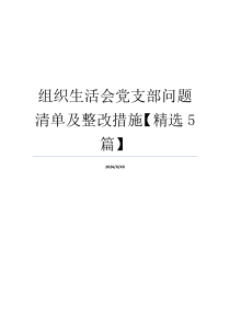 组织生活会党支部问题清单及整改措施【精选5篇】