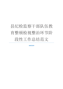 县纪检监察干部队伍教育整顿检视整治环节阶段性工作总结范文