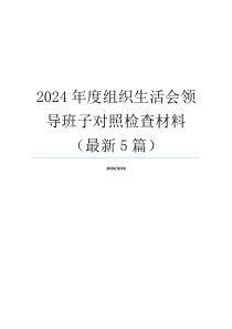 2024年度组织生活会领导班子对照检查材料（最新5篇）