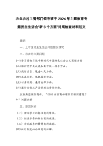 农业农村主管部门领导班子2024年主题教育专题民主生活会“新6个方面”对照检查材料范文