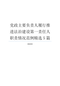 党政主要负责人履行推进法治建设第一责任人职责情况范例精选5篇