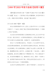 [1000字]2023年实习总结【实用5篇】