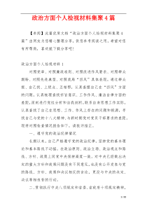 政治方面个人检视材料集聚4篇