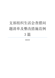 支部组织生活会查摆问题清单及整改措施范例3篇