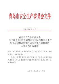 关于印发《全市贯彻落实全省防汛和安全生产电视会议精神组织开展安全