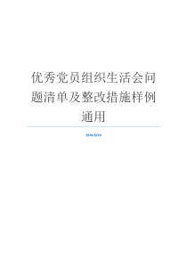 优秀党员组织生活会问题清单及整改措施样例通用