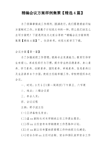 精编会议方案样例集聚【精选4篇】