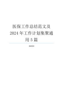 医保工作总结范文及2024年工作计划集聚通用5篇