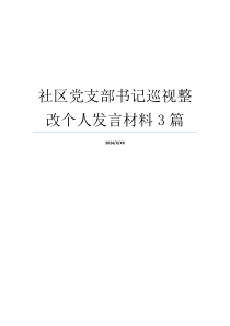 社区党支部书记巡视整改个人发言材料3篇