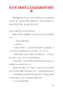 党史学习教育民主生活会检视材料范例3篇