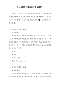 个人辞职报告范例【集聚】