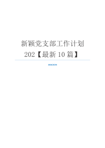 新颖党支部工作计划202【最新10篇】