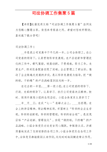 司法协调工作集聚5篇