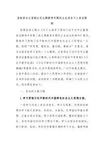 县政府办公室副主任主题教育专题民主生活会个人发言提纲