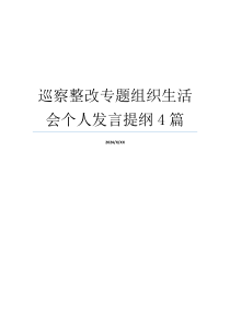 巡察整改专题组织生活会个人发言提纲4篇