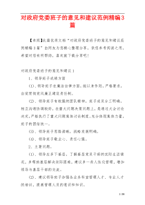 对政府党委班子的意见和建议范例精编3篇