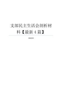 支部民主生活会剖析材料【最新4篇】