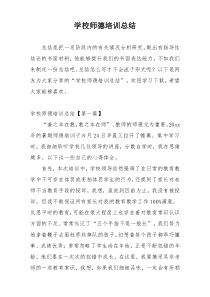 学校师德培训总结