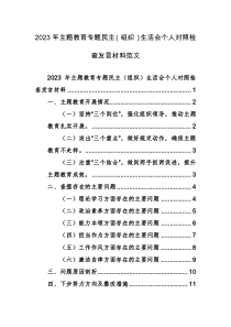 2023年主题教育专题民主（组织）生活会个人对照检查发言材料范文