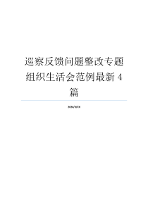 巡察反馈问题整改专题组织生活会范例最新4篇