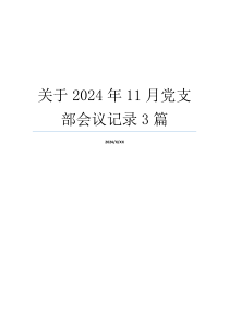 关于2024年11月党支部会议记录3篇