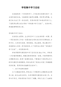 学校集中学习总结