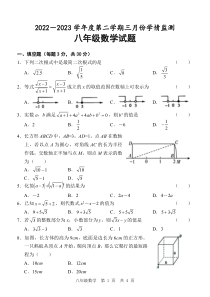 山东省济宁市金乡县2022-2023学年八年级下学期第一次月考数学试题