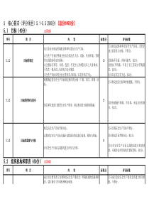 发电厂安全生产标准化达标评分表