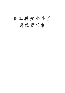 各工种岗位安全生产责任制（DOC45页）