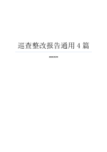 巡查整改报告通用4篇