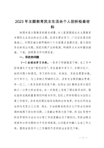 2023年主题教育民主生活会个人剖析检查材料