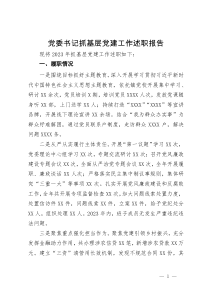 镇农信联社党委书记党委书记抓基层党建工作述职报告