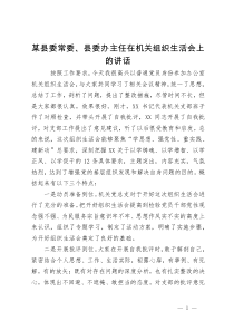 某县委常委、县委办主任在机关组织生活会上的讲话