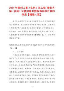 2024年策划方案（实例）怎么做_策划方案（实例）可被实施并能取得科学有效的效果【精编4篇】